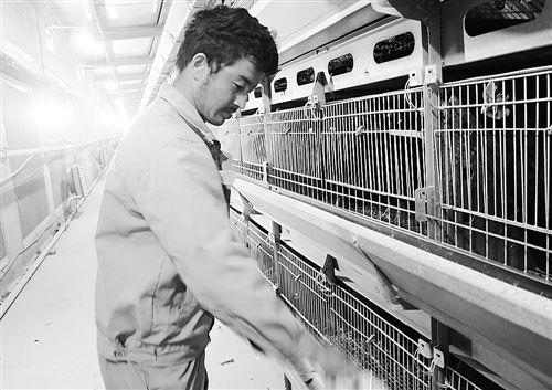 新疆门事件黑料网