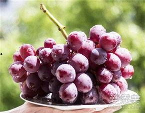 网红提子黑料是什么,真相与争议背后的网络风云