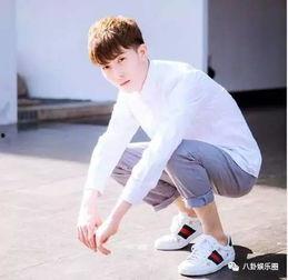 各大快手网红黑料,网络红人背后的真相与争议