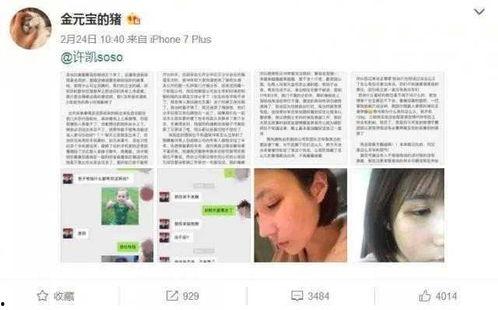 网曝黑料在线观看免费版